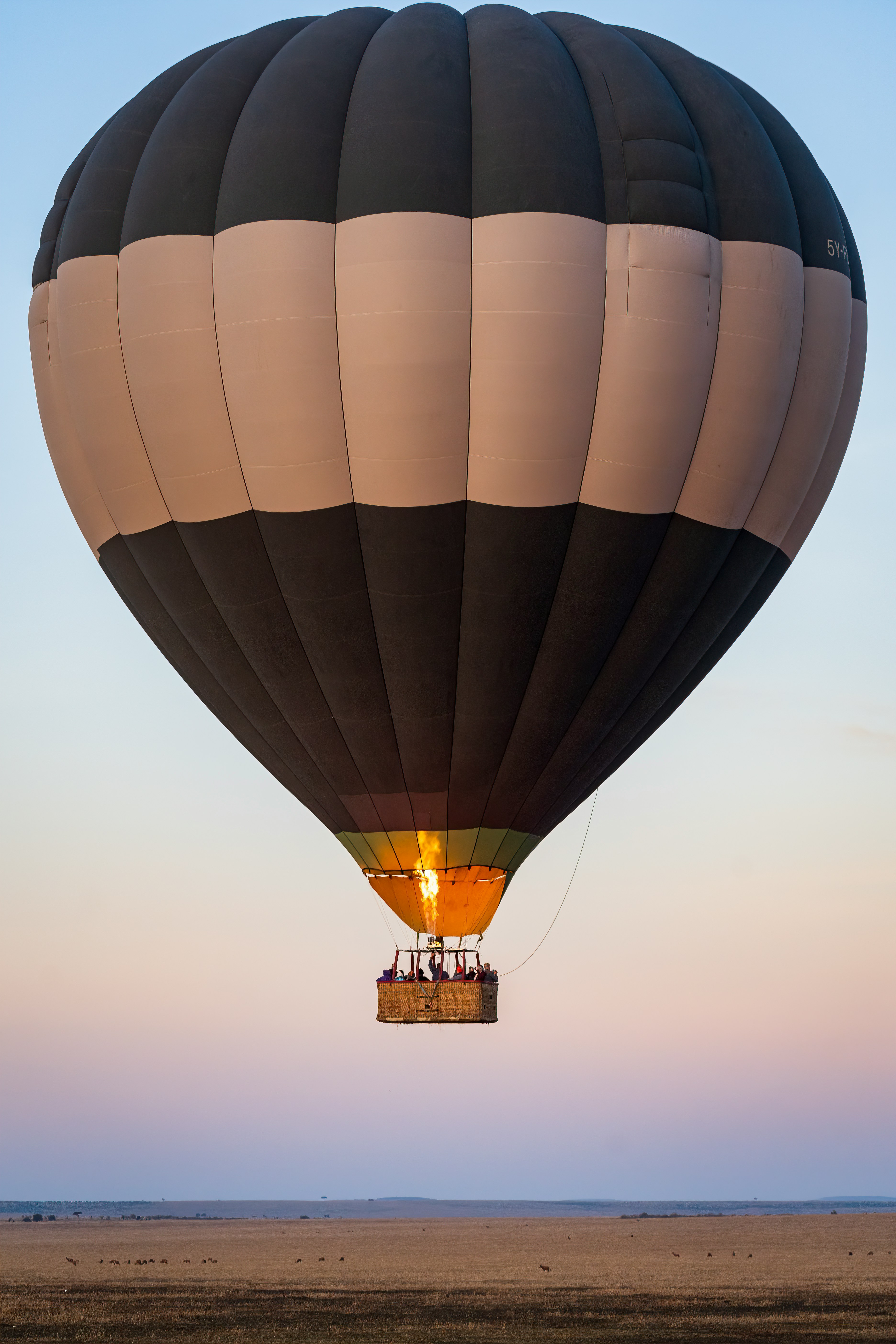 Hot air balloon